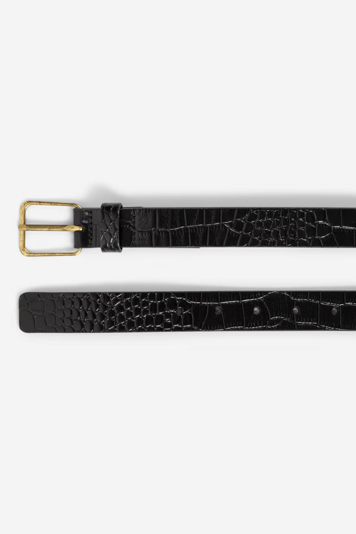 Aiden Belt