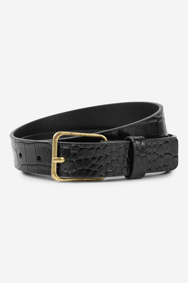 Aiden Belt