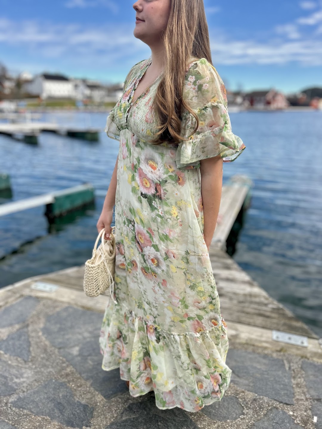Organza Smocking Dress