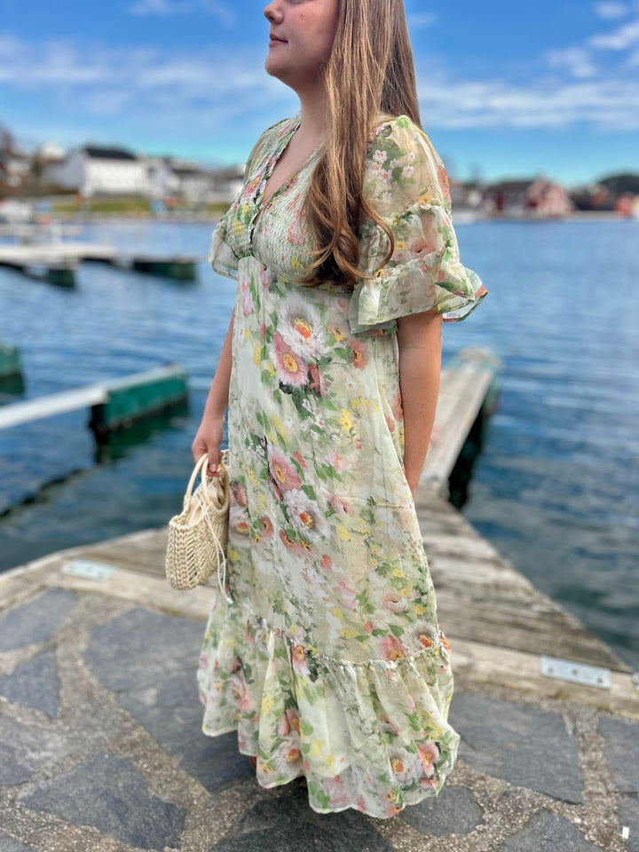 Organza Smocking Dress