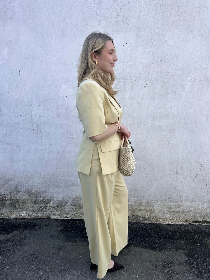 Nilan Pleat Pant