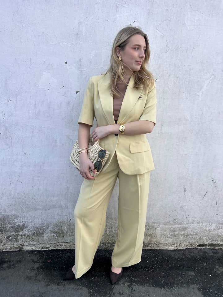 Nilan Pleat Pant