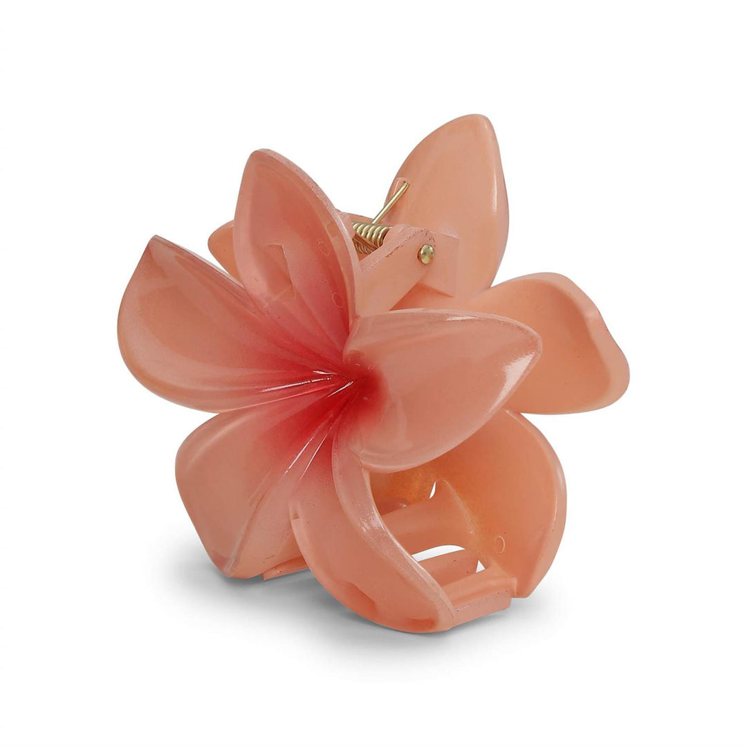 Plumeria Bisou Big