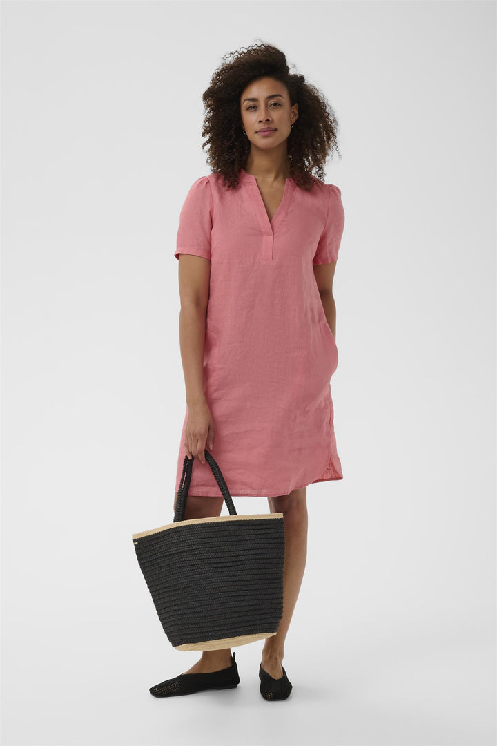 Aminase Dress