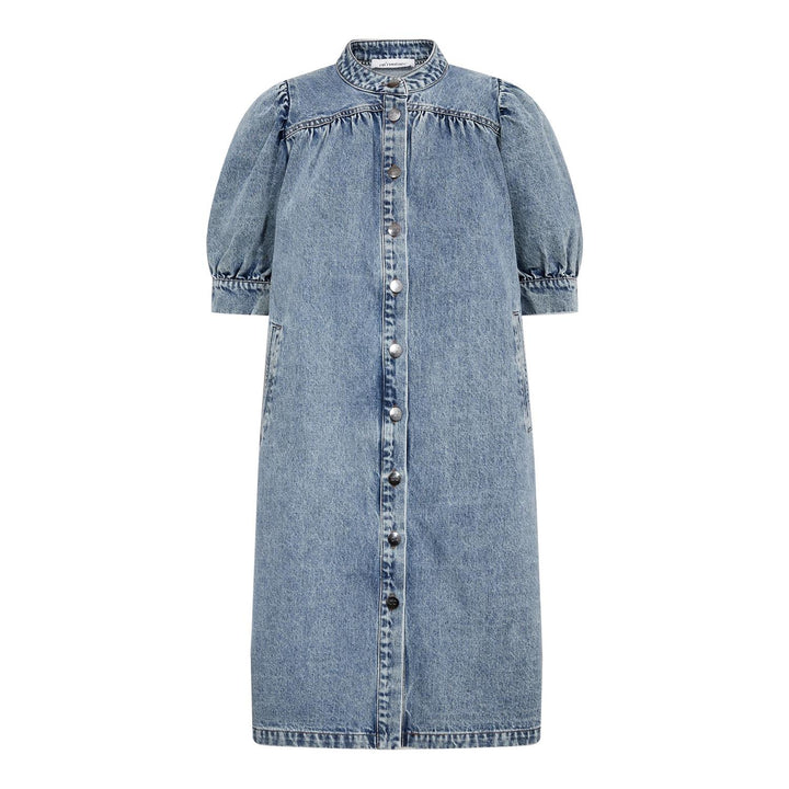 Denice denim dress