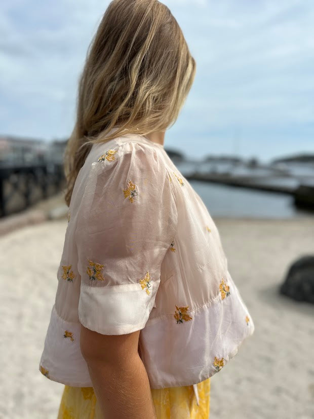 Organza Cropped Top