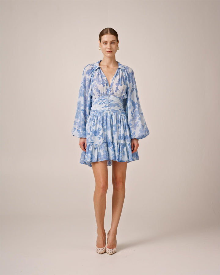 Chiffon Mini Dress