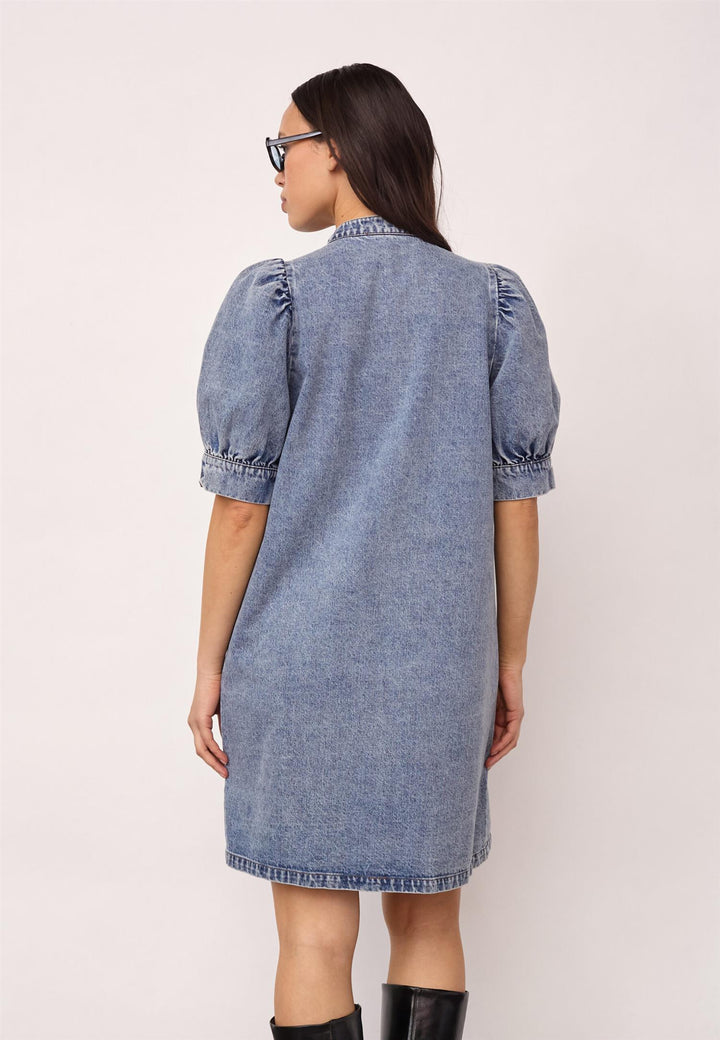 Denice denim dress
