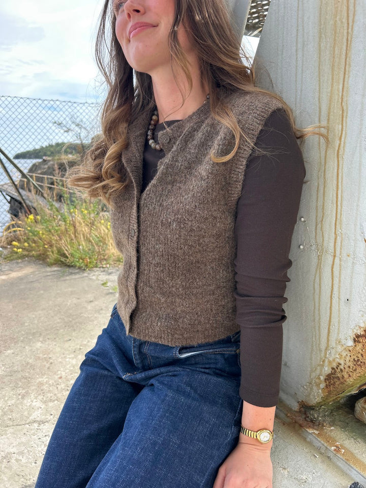 lulu knit vest dachshund