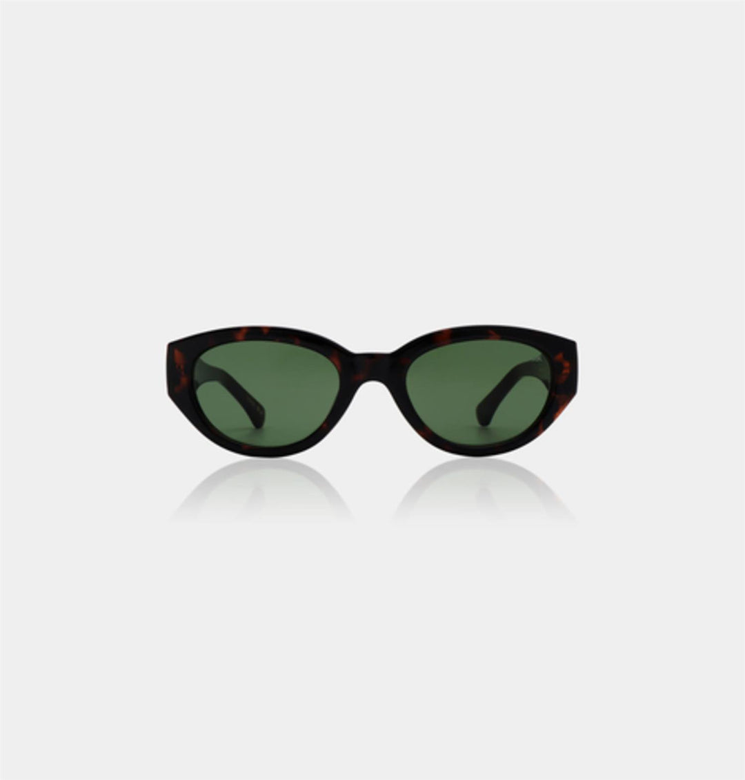 Winnie Demi Tortoise