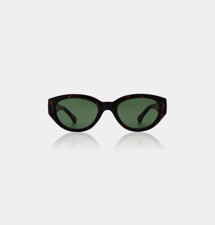 Winnie Demi Tortoise