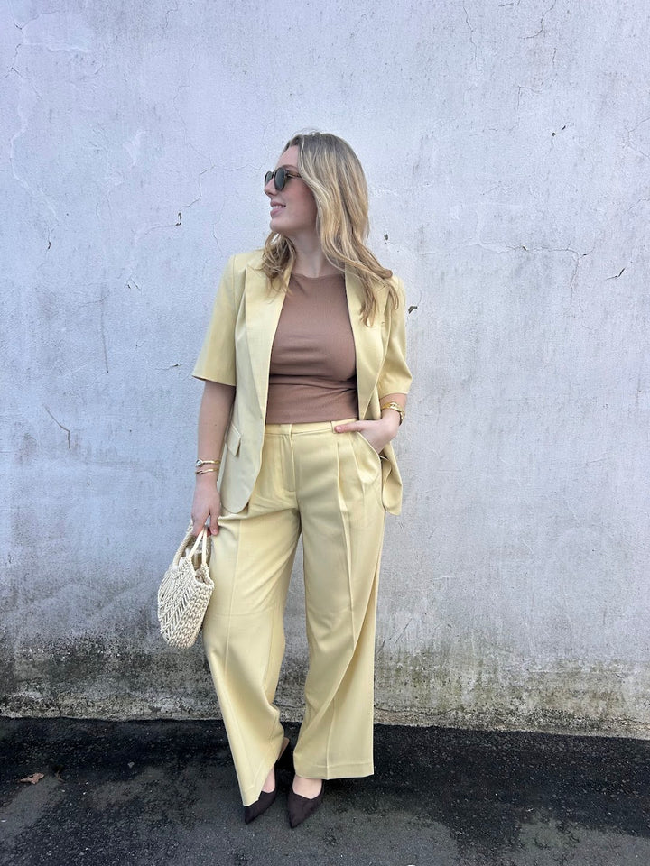 Nilan Pleat Pant